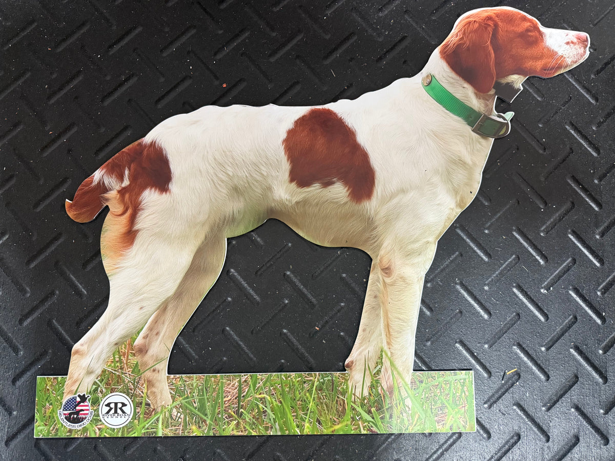 Relentless Bird Dog & River Roan Kennels Backing Dog- Brittany ...